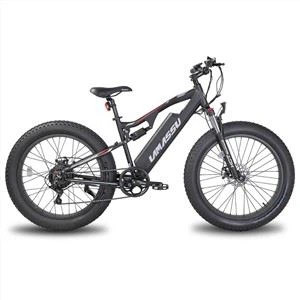 E-mtb Two Wheels Off Road Electric Mountain Bike