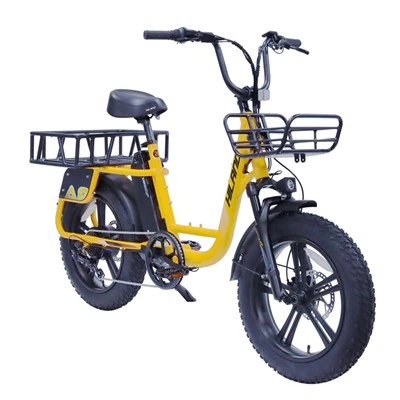 Ηλεκτρονικό ποδήλατο κράματος 20" 48V 750W